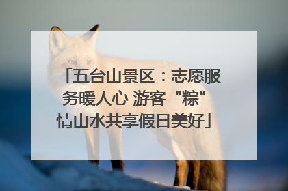 五台山景区：志愿服务暖人心 游客“粽”情山水共享假日美好