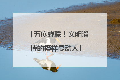 五度蝉联！文明淄博的模样最动人