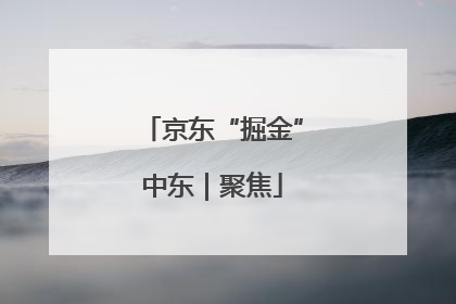 京东“掘金”中东｜聚焦