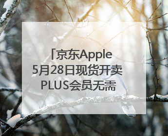 京东Apple 5月28日现货开卖 PLUS会员无需凑单先打9折再叠618优惠