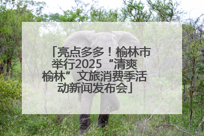 亮点多多！榆林市举行2025“清爽榆林”文旅消费季活动新闻发布会