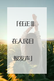 任正非在人民日报发声
