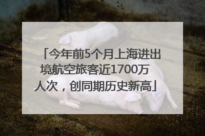今年前5个月上海进出境航空旅客近1700万人次，创同期历史新高