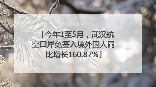 今年1至5月，武汉航空口岸免签入境外国人同比增长160.87%