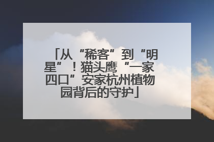 从“稀客”到“明星”！猫头鹰“一家四口”安家杭州植物园背后的守护