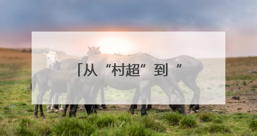 从“村超”到“苏超”，从“追球”到“追求”