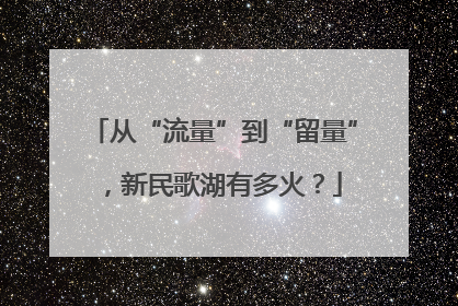 从“流量”到“留量”，新民歌湖有多火？