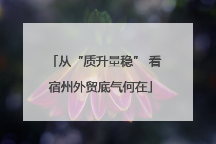 从“质升量稳” 看宿州外贸底气何在