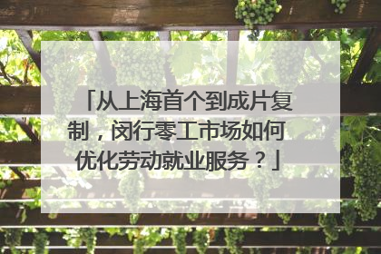 从上海首个到成片复制，闵行零工市场如何优化劳动就业服务？