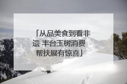 从品美食到看非遗 丰台玉树消费帮扶展有惊喜