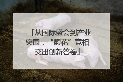 从国际盛会到产业突围，“醴花”竞相交出创新答卷