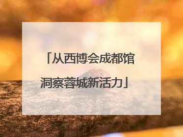 从西博会成都馆洞察蓉城新活力