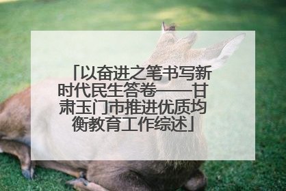 以奋进之笔书写新时代民生答卷——甘肃玉门市推进优质均衡教育工作综述