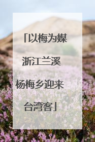 以梅为媒 浙江兰溪杨梅乡迎来台湾客