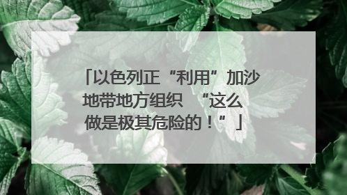 以色列正“利用”加沙地带地方组织  “这么做是极其危险的！”