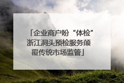 企业商户盼“体检” 浙江洞头预检服务颠覆传统市场监管