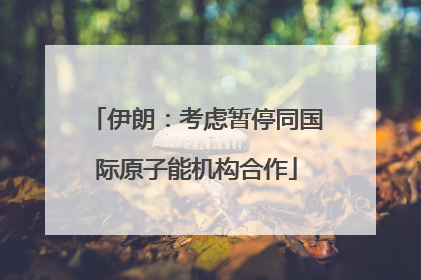 伊朗：考虑暂停同国际原子能机构合作