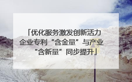 优化服务激发创新活力 企业专利“含金量”与产业“含新量”同步提升