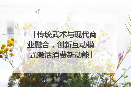 传统武术与现代商业融合，创新互动模式激活消费新动能