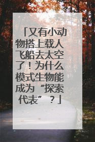 又有小动物搭上载人飞船去太空了！为什么模式生物能成为“探索代表”？
