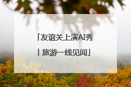 友谊关上演AI秀丨旅游一线见闻