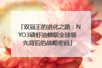 双冠王的进化之路：NYO3磷虾油蝉联全球领先背后的战略密码
