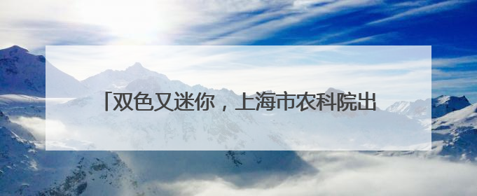 双色又迷你，上海市农科院出品，“吃瓜界”的小清新来了