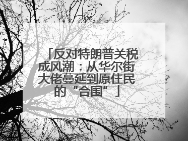 反对特朗普关税成风潮：从华尔街大佬蔓延到原住民的“合围”