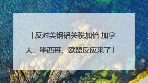 反对美钢铝关税加倍 加拿大、墨西哥、欧盟反应来了