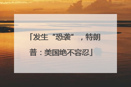 发生“恐袭”，特朗普：美国绝不容忍