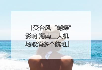 受台风“蝴蝶”影响 海南三大机场取消多个航班