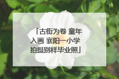 古街为卷 童年入画 襄阳一小学拍摄别样毕业照