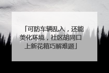 可防车辆乱入，还能美化环境，社区胡同口上新花箱巧解难题