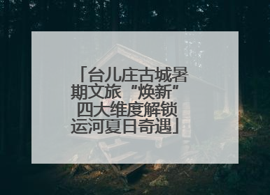 台儿庄古城暑期文旅“焕新” 四大维度解锁运河夏日奇遇