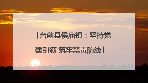 台前县侯庙镇：坚持党建引领 筑牢禁毒防线