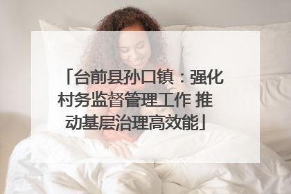 台前县孙口镇：强化村务监督管理工作 推动基层治理高效能