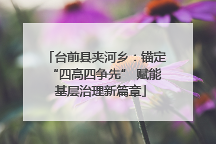 台前县夹河乡：锚定“四高四争先” 赋能基层治理新篇章