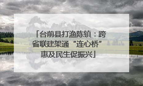 台前县打渔陈镇：跨省联建架通“连心桥” 惠及民生促振兴