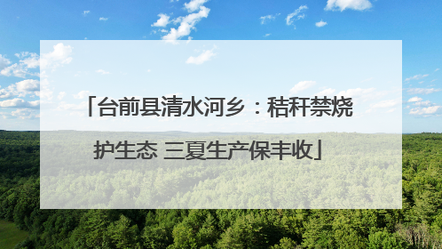 台前县清水河乡：秸秆禁烧护生态 三夏生产保丰收