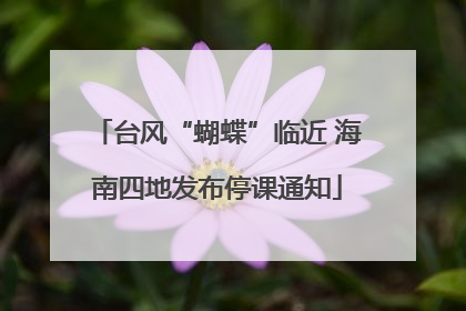 台风“蝴蝶”临近 海南四地发布停课通知