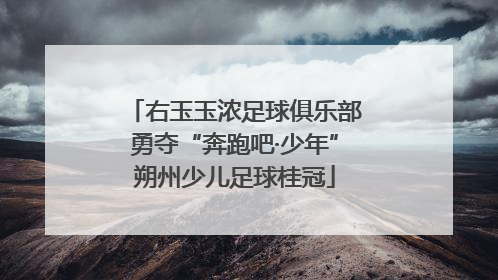 右玉玉浓足球俱乐部勇夺“奔跑吧·少年”朔州少儿足球桂冠