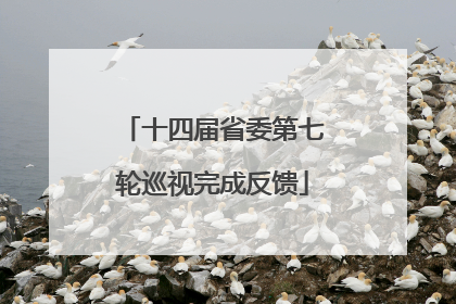 十四届省委第七轮巡视完成反馈