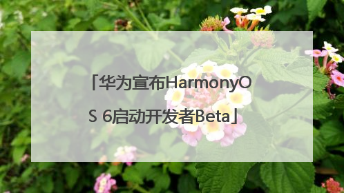 华为宣布HarmonyOS 6启动开发者Beta