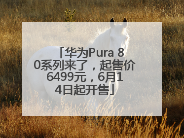 华为Pura 80系列来了，起售价6499元，6月14日起开售