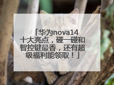 华为nova14十大亮点，碰一碰和智控键最香，还有超级福利能领取！