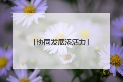 协同发展添活力