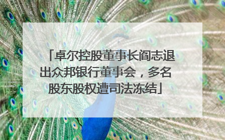 卓尔控股董事长阎志退出众邦银行董事会，多名股东股权遭司法冻结