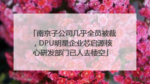 南京子公司几乎全员被裁，DPU明星企业芯启源核心研发部门已人去楼空