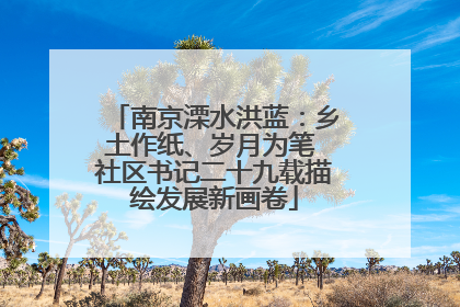 南京溧水洪蓝：乡土作纸、岁月为笔 社区书记二十九载描绘发展新画卷