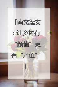 南充蓬安：让乡村有“颜值”更有“产值”